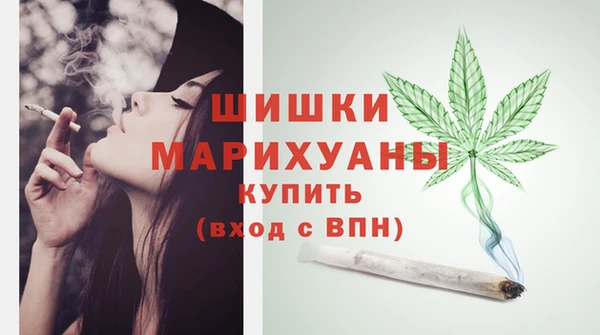 молекула духа Богородск