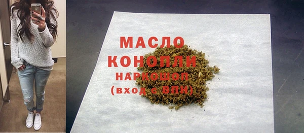 молекула духа Богородск