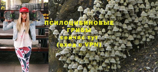 молекула духа Богородск