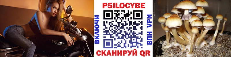 как найти наркотики  Кимры  Псилоцибиновые грибы прущие грибы 